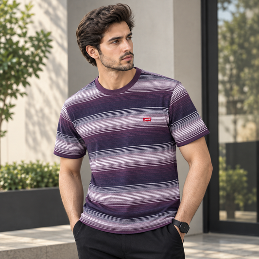 Levi’s Premium Striped Crew Neck T-Shirt