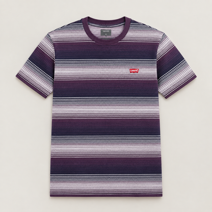Levi’s Premium Striped Crew Neck T-Shirt