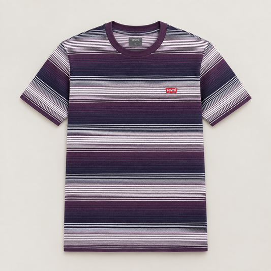 Levi’s Premium Striped Crew Neck T-Shirt